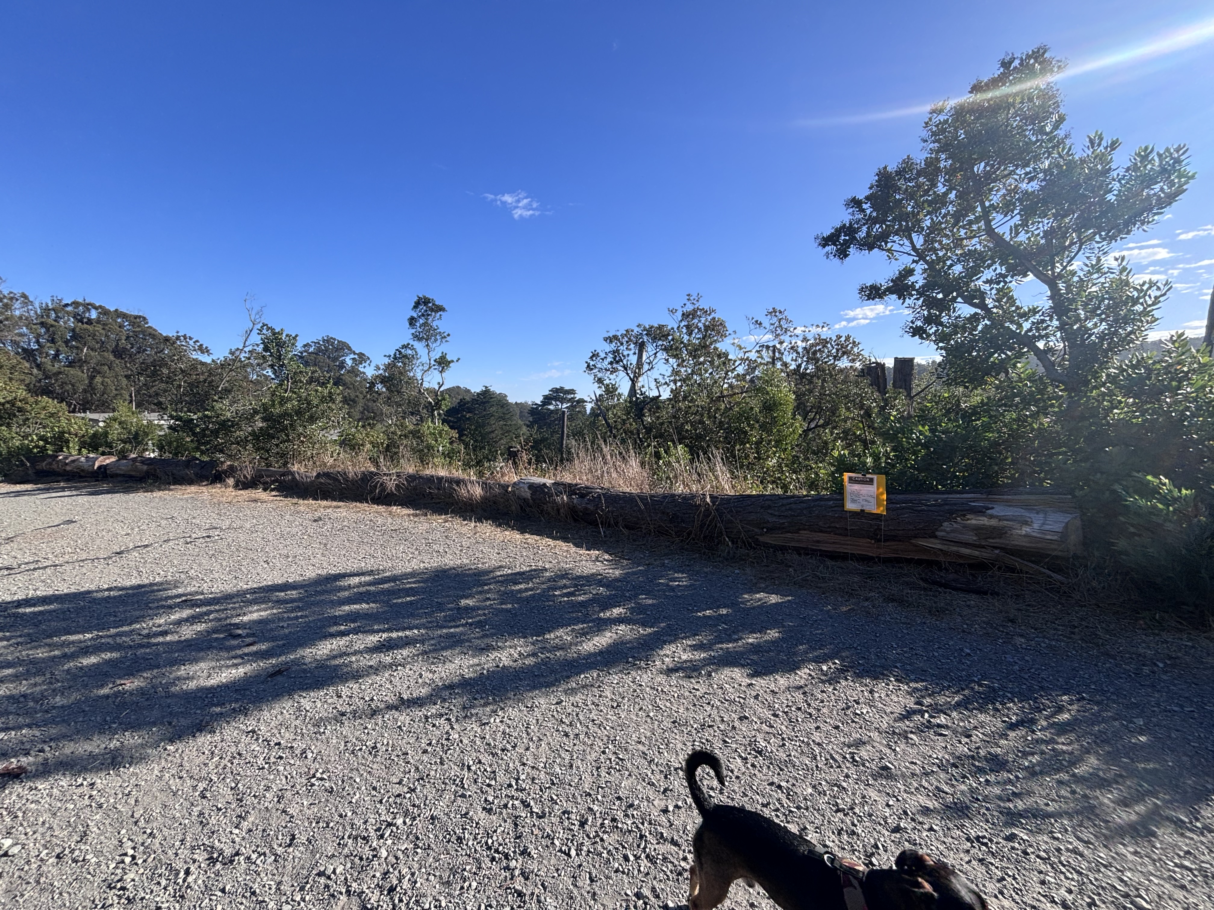 Wider site context for a herbicide application sign near Quarry Road in the Presidio