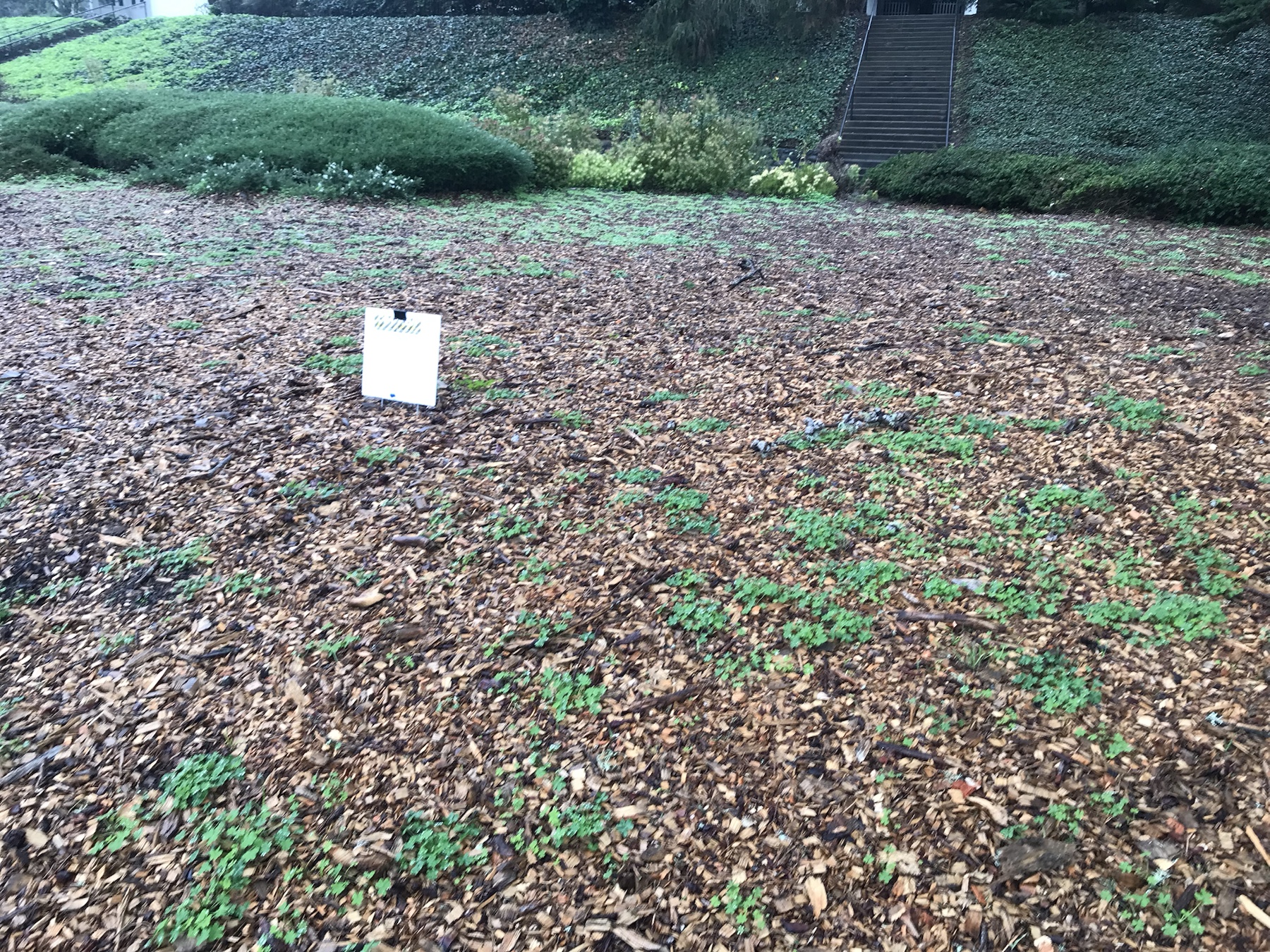 Context image of herbicide application sign in a planted area along Lincoln Blvd