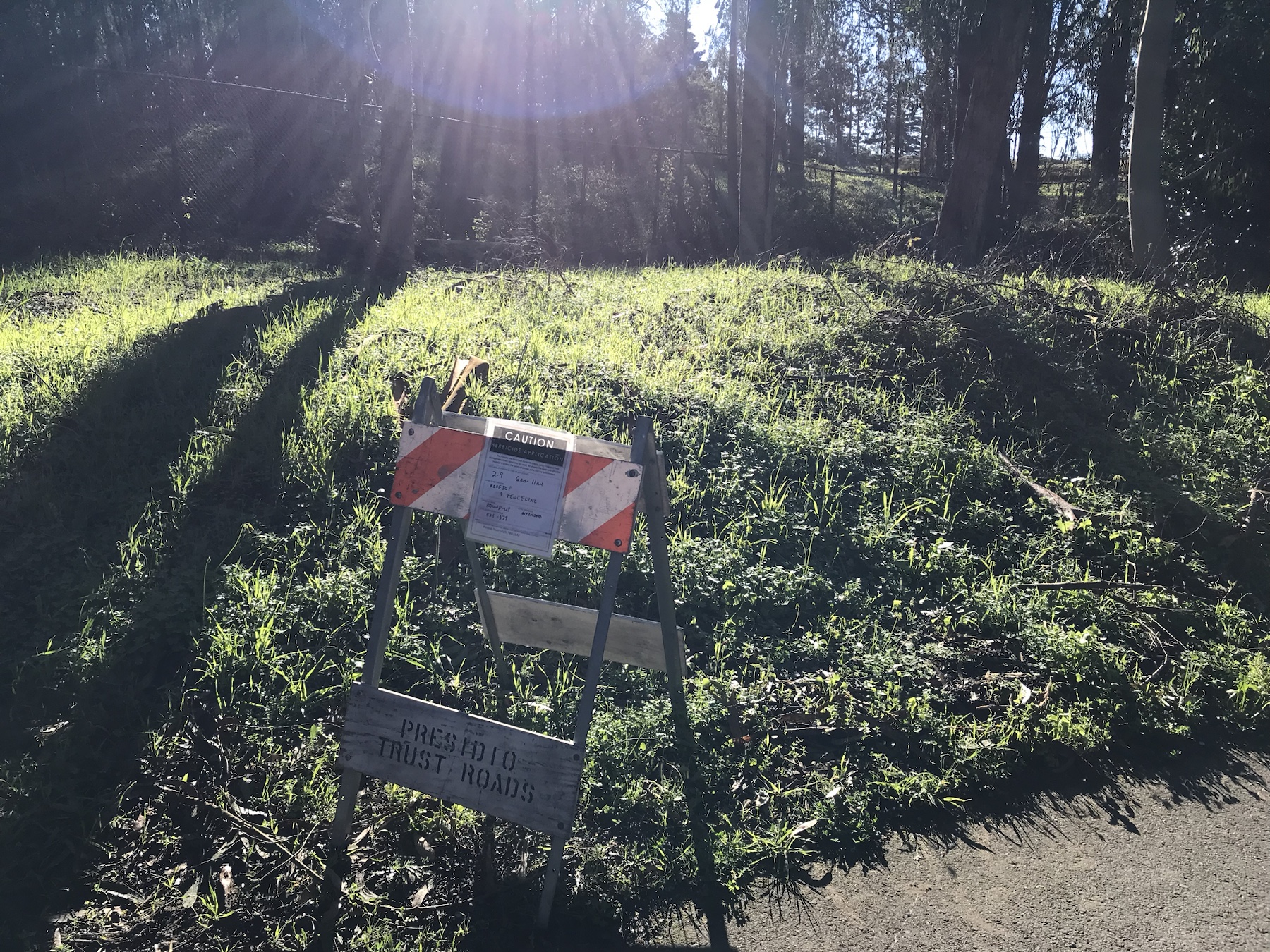 Additional context image of a Roundup sign near a vegetated fenceline