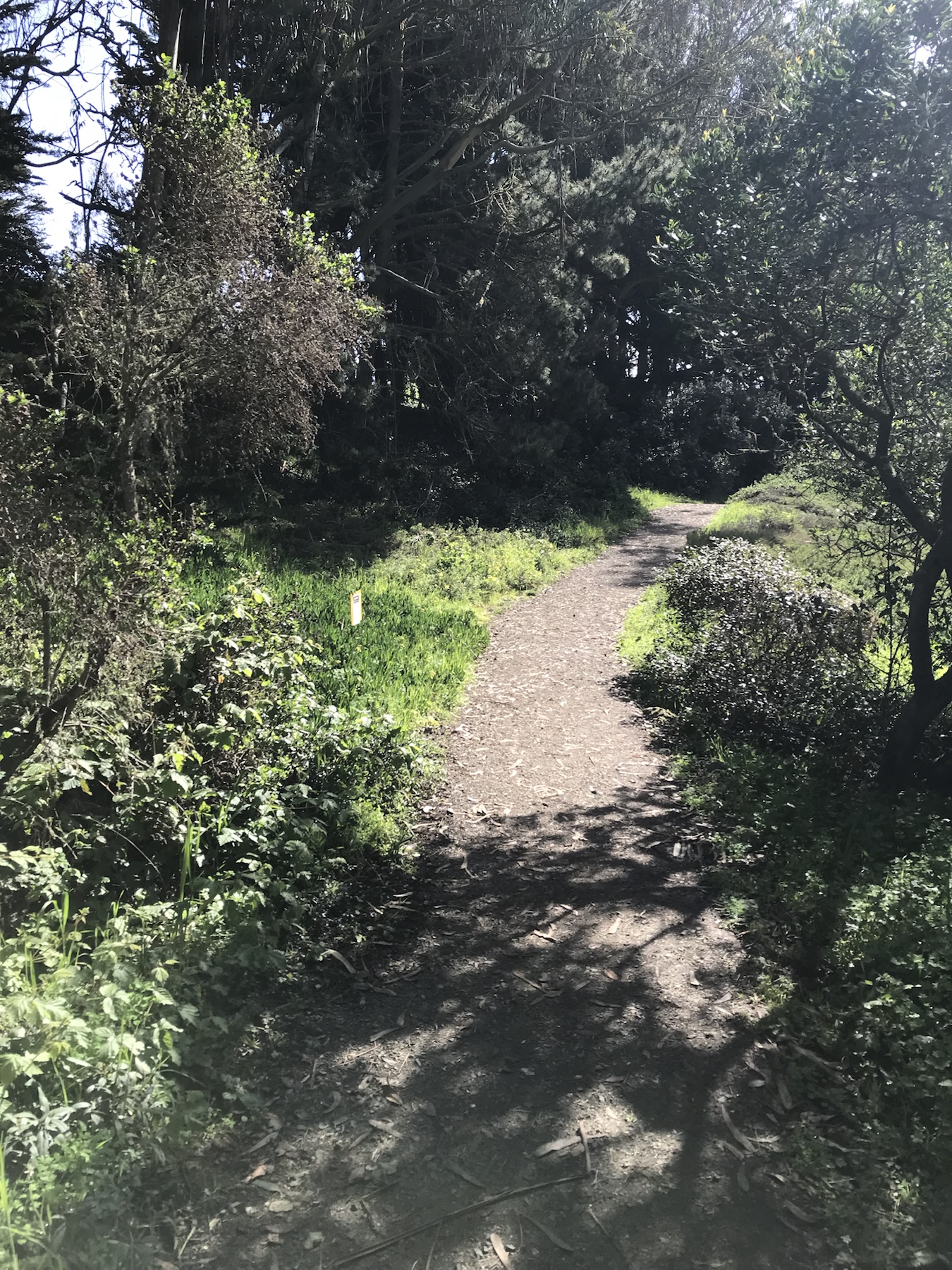Trail-side context image of a herbicide application sign in the Presidio