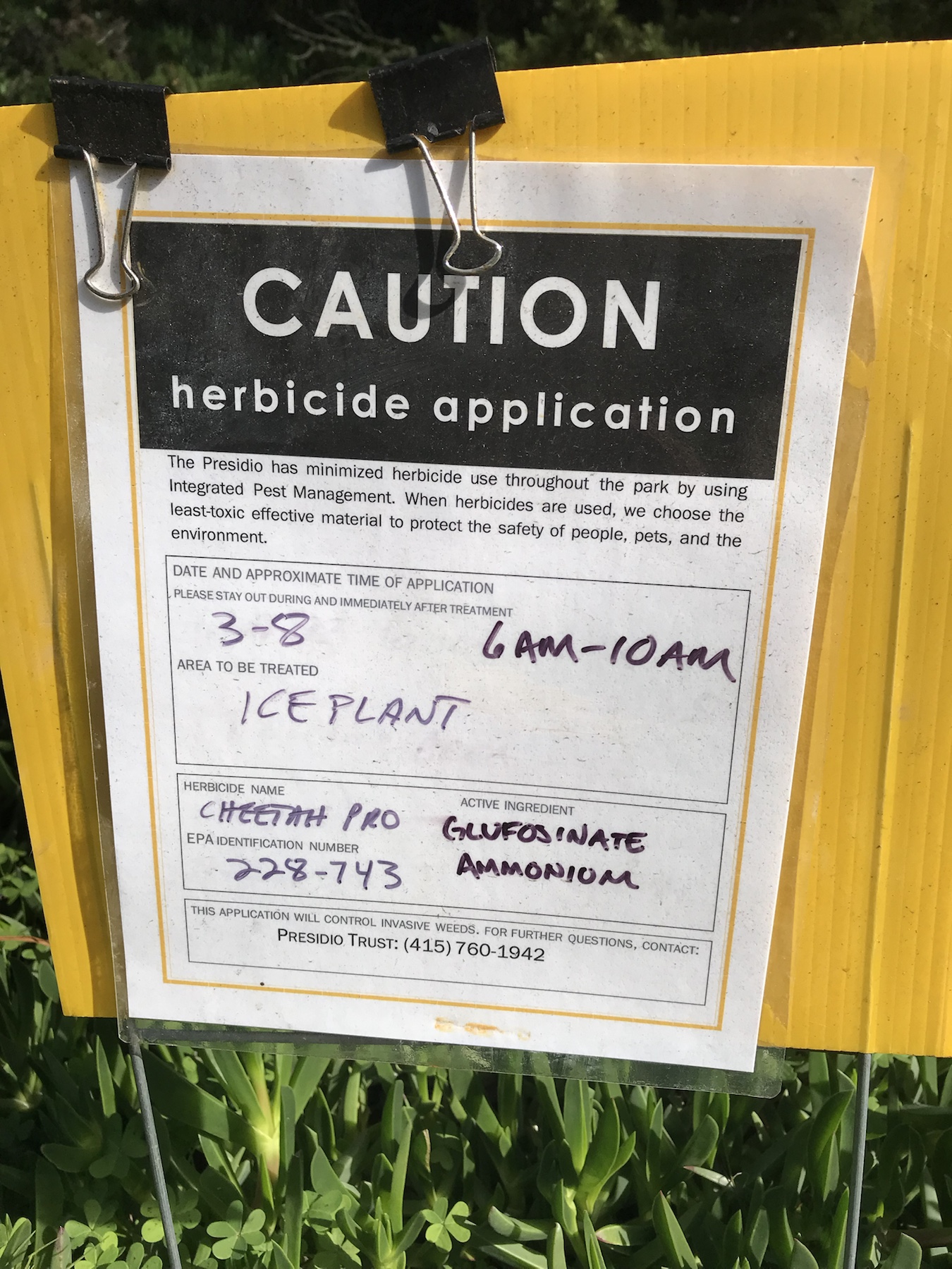 Caution herbicide application sign for Cheetah Pro ice plant treatment in the Presidio