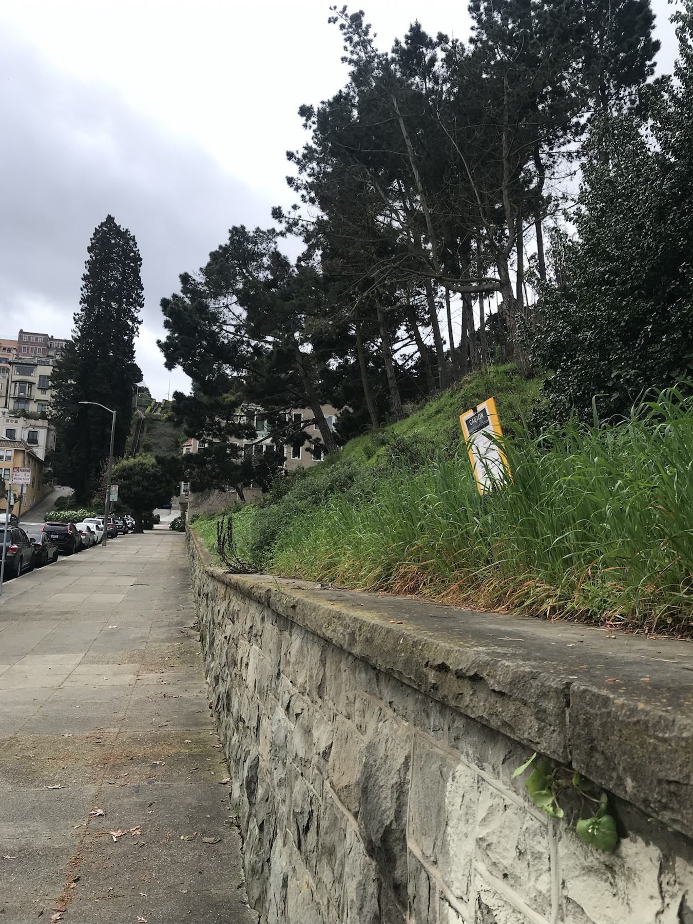 Wide context view of a herbicide application sign above the Lyon Street sidewalk