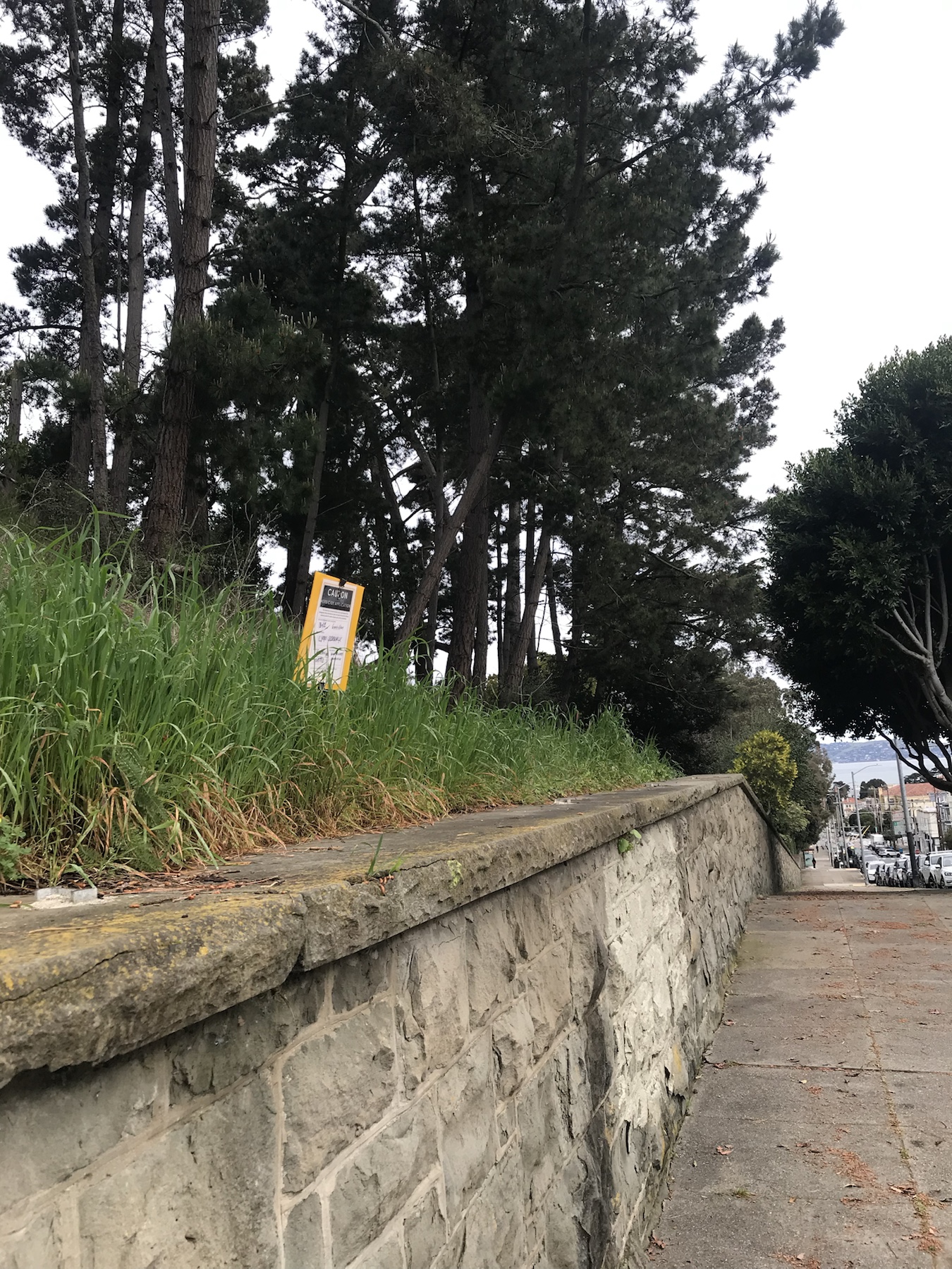 Additional context image of a Cheetah Pro sign along the Lyon Street sidewalk