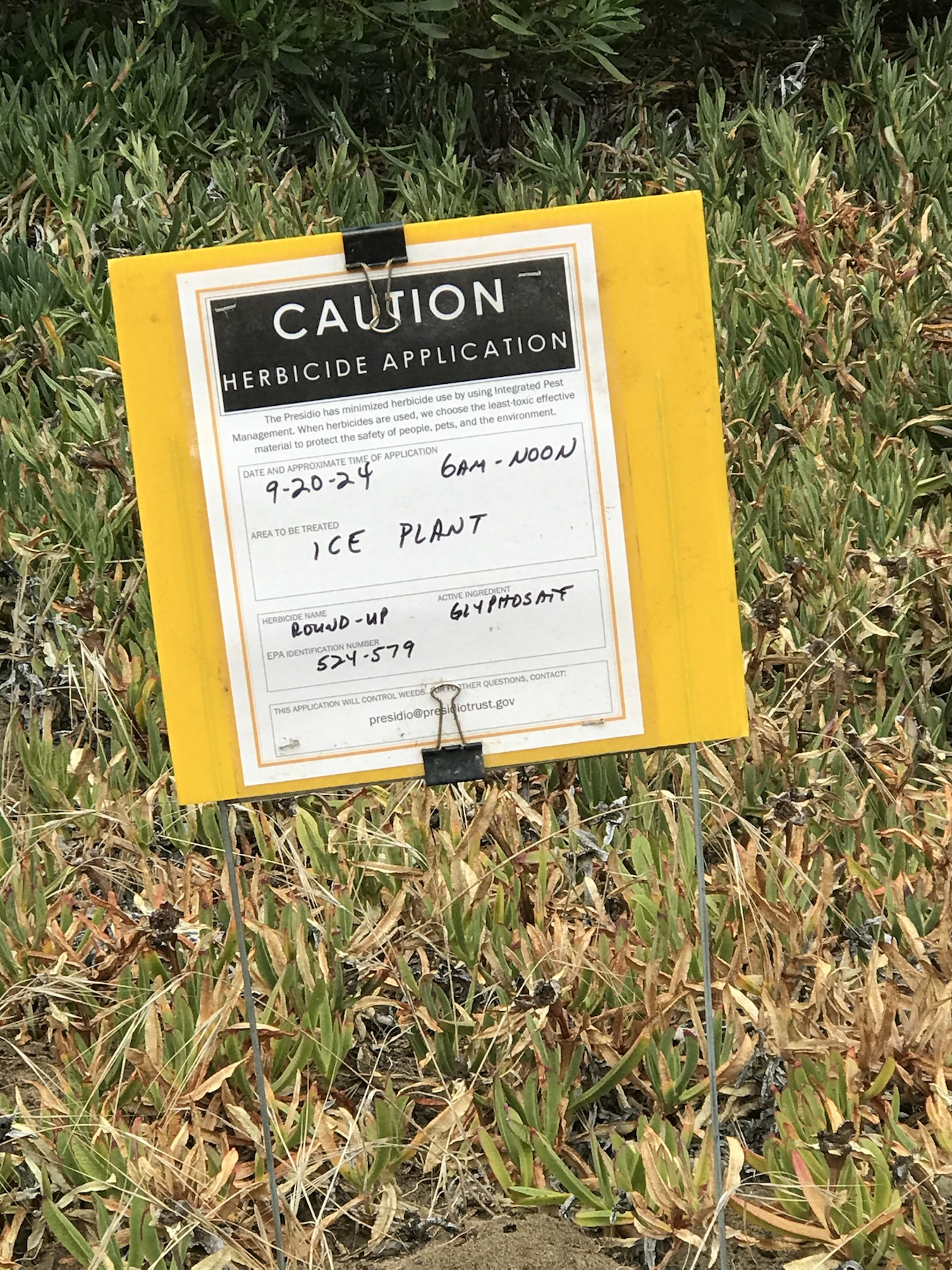 Additional readable Roundup herbicide application sign for ice plant treatment