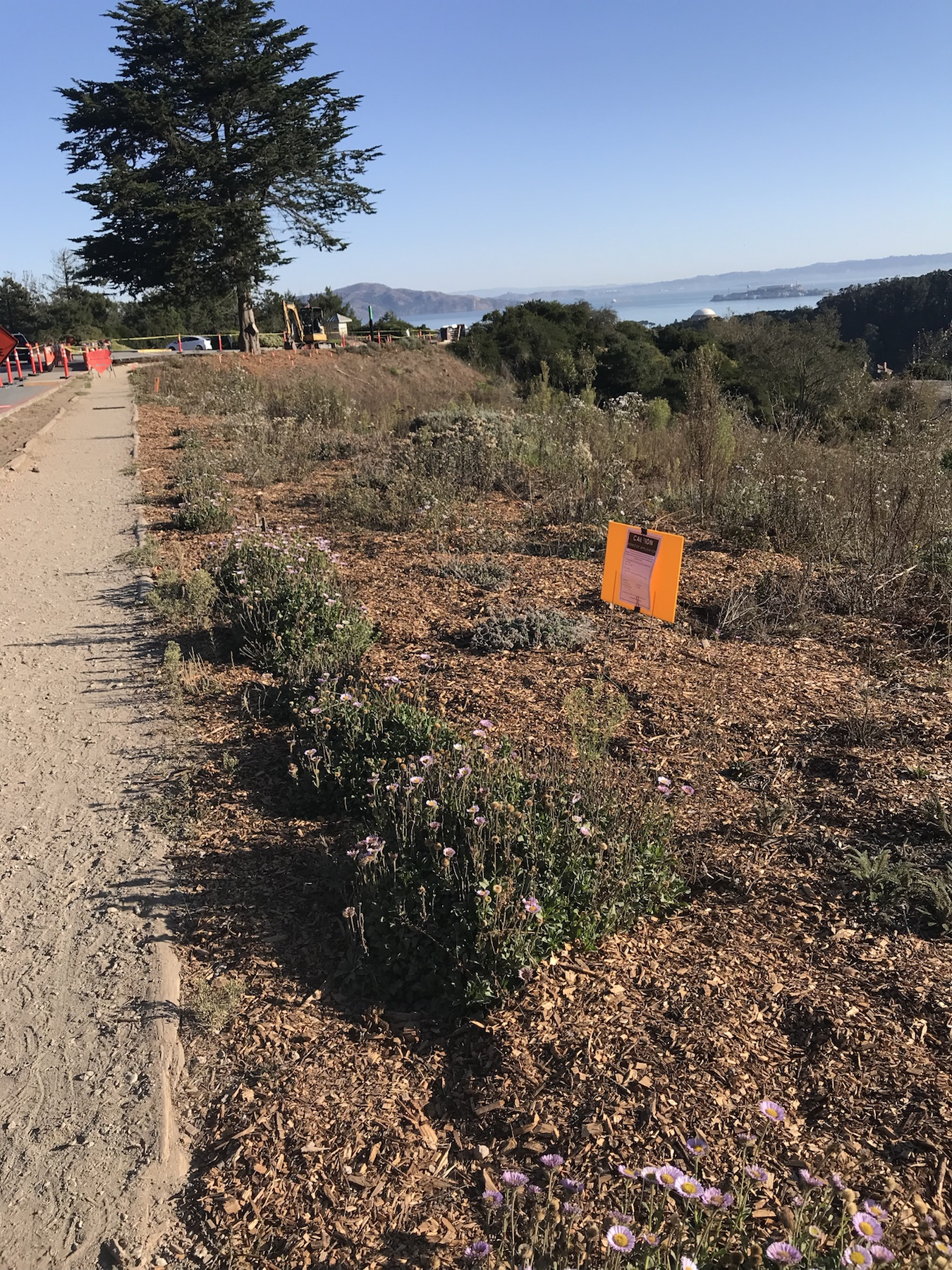 Context image of herbicide application sign near Arguello Blvd and the Ecology Trail