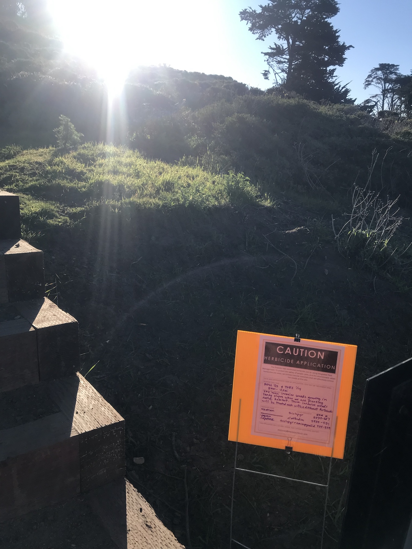Context image of a herbicide application sign beside wooden steps on a sandy slope in the Presidio