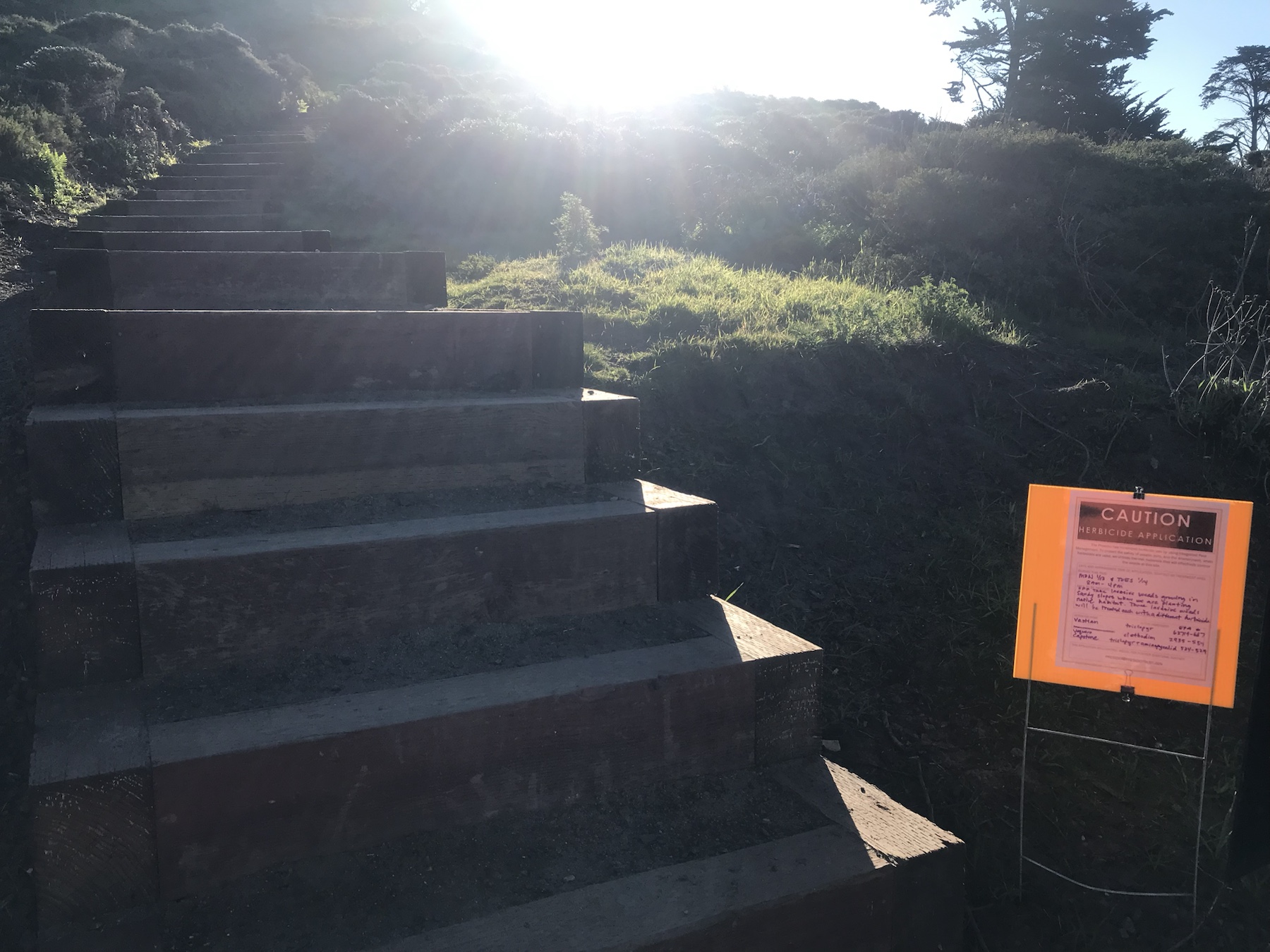 Wider context image of herbicide application sign near wooden steps and sandy vegetation