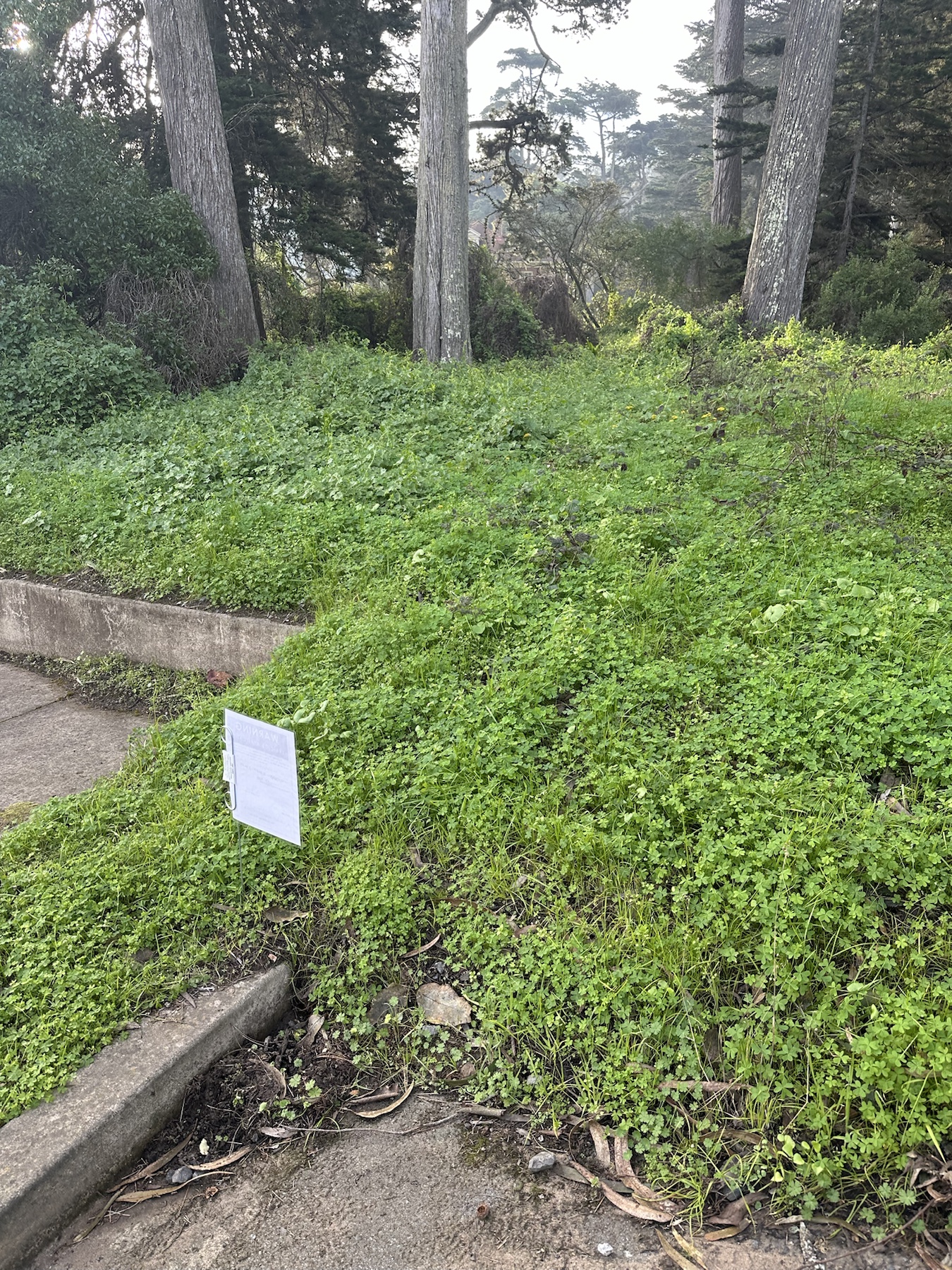 Cheetah Pro herbicide application sign posted beside vegetated slope near 1337 Pope