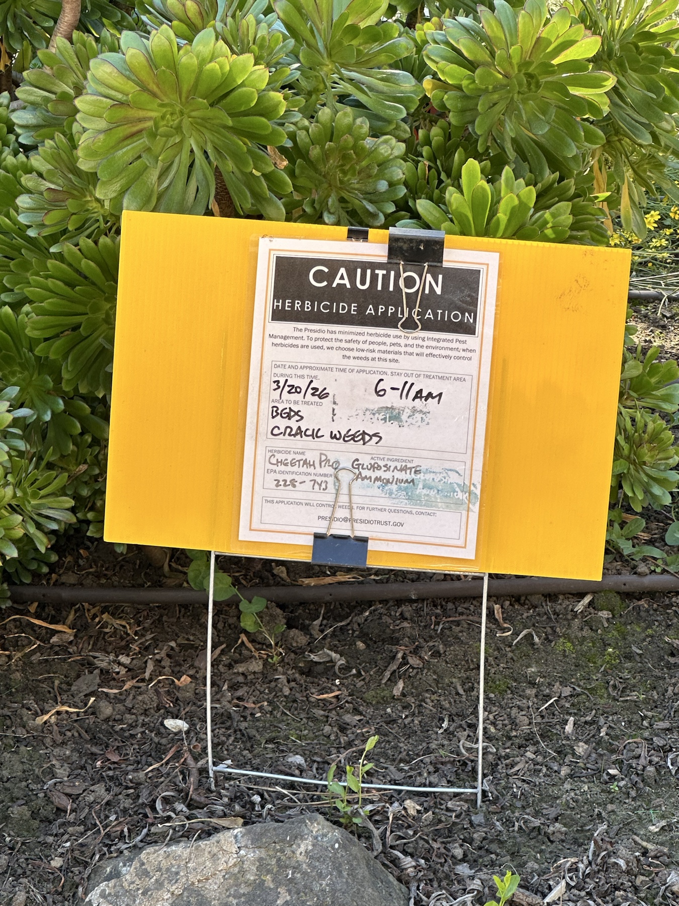 Caution herbicide application sign listing Cheetah Pro and glufosinate ammonium near Moraga Avenue