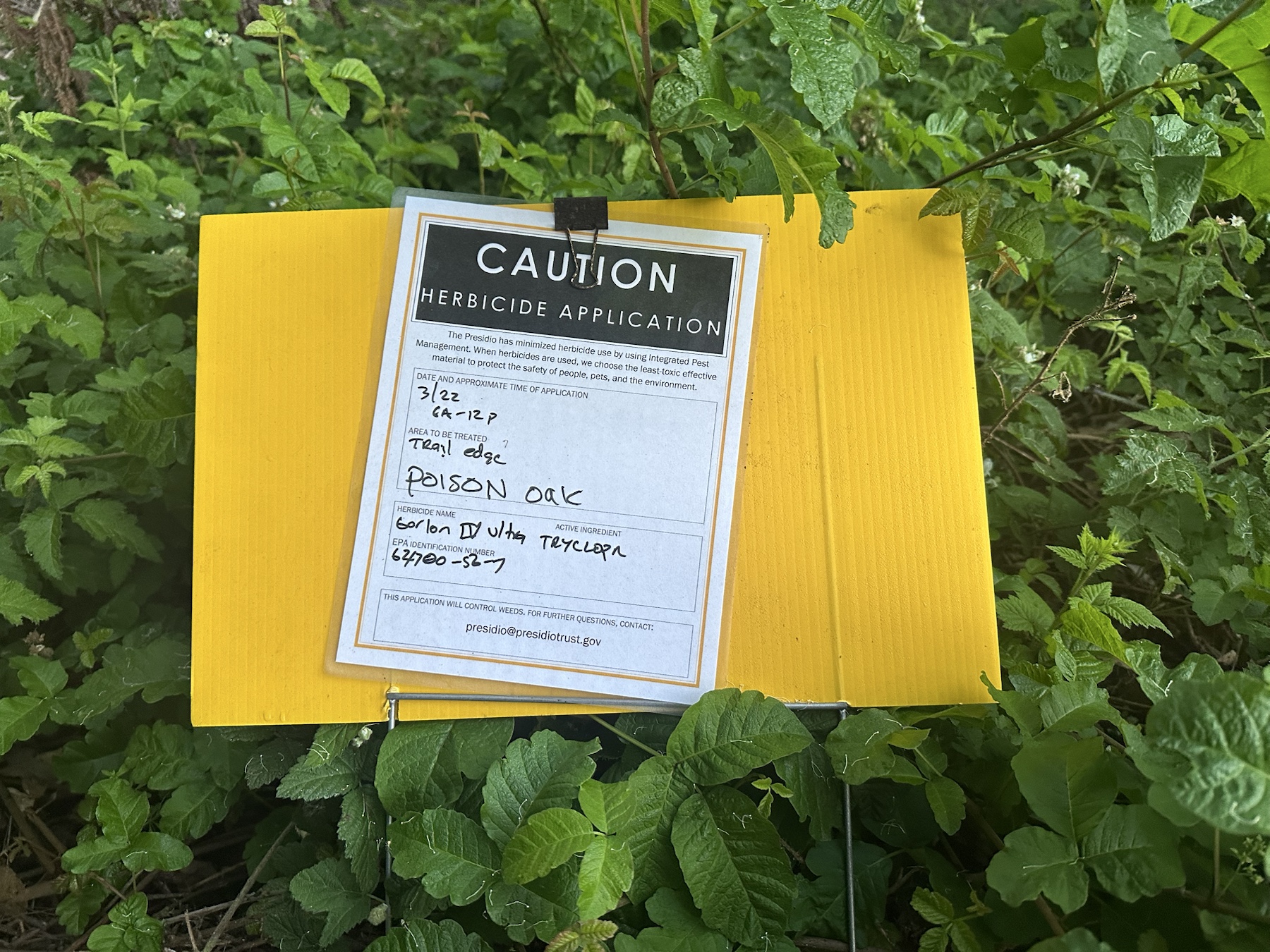 Caution herbicide application sign listing Garlon 4 Ultra for poison oak along a trail edge