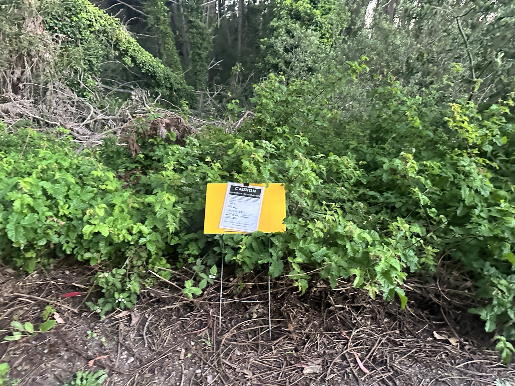 Context image of herbicide application sign posted in vegetation along a trail edge
