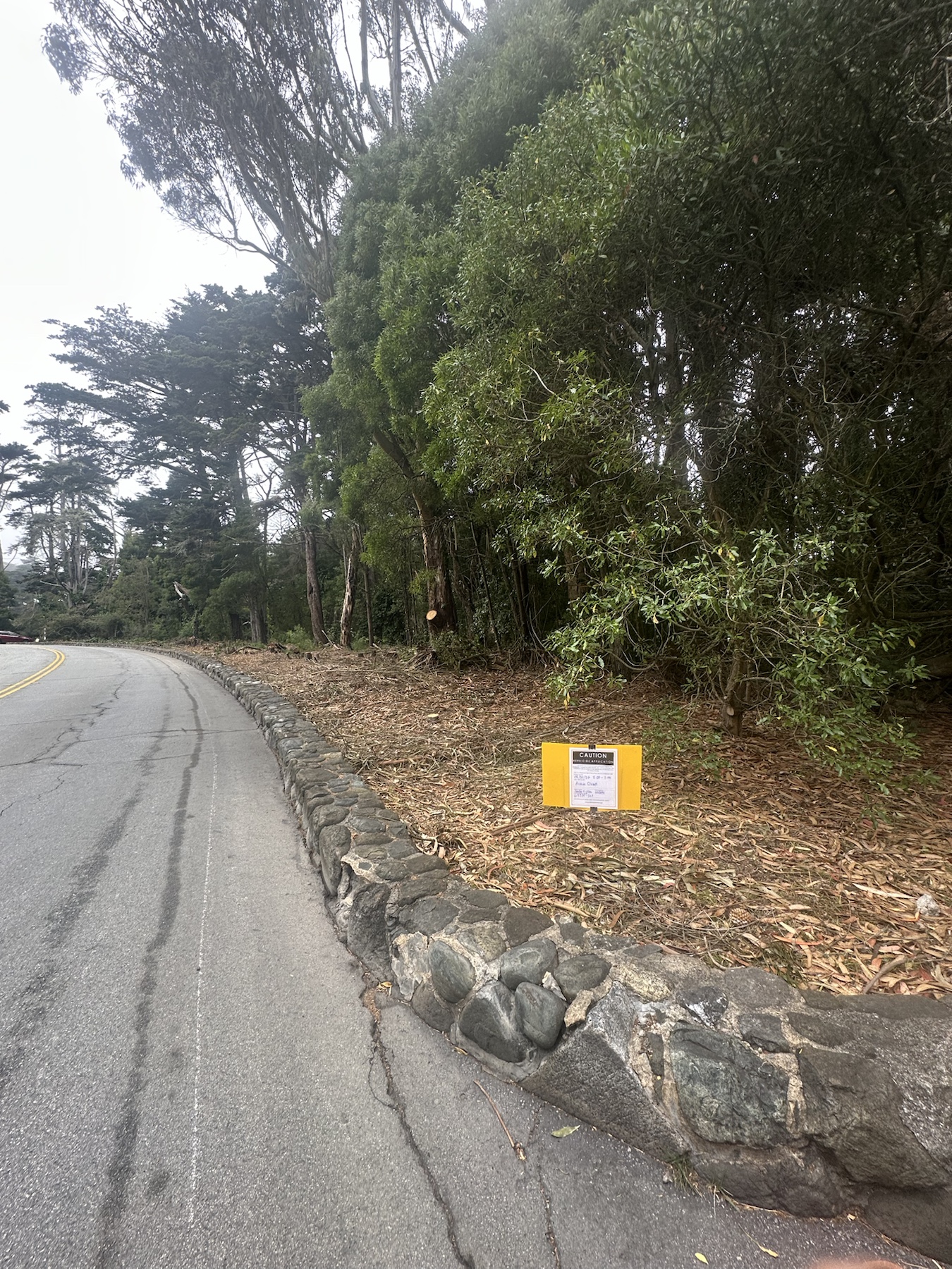 Context image of herbicide application sign beside a roadside stone wall and acacia trees