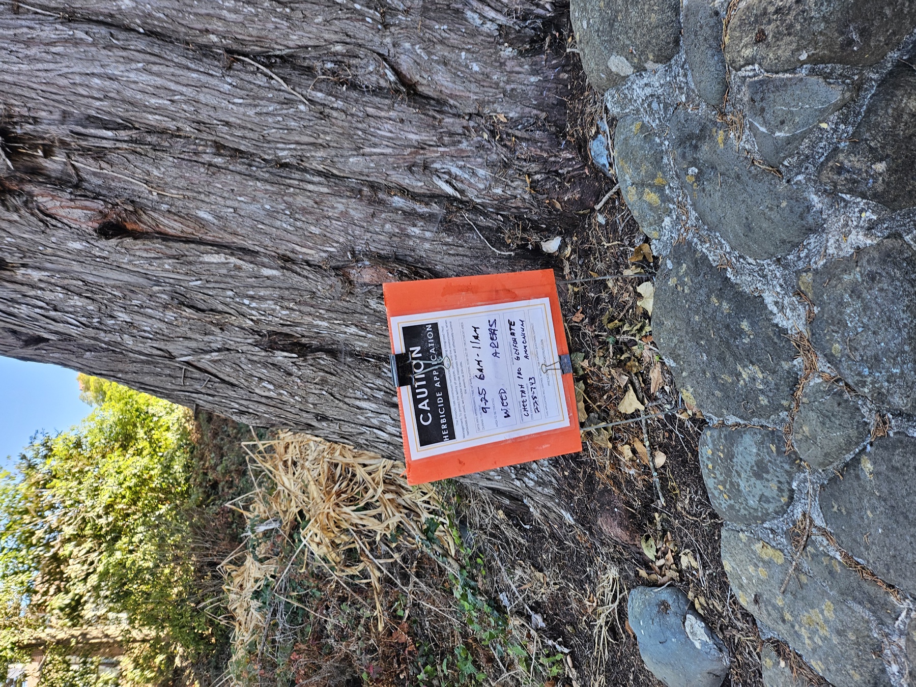 Caution herbicide application sign beside a tree near Infantry Terrace tennis courts