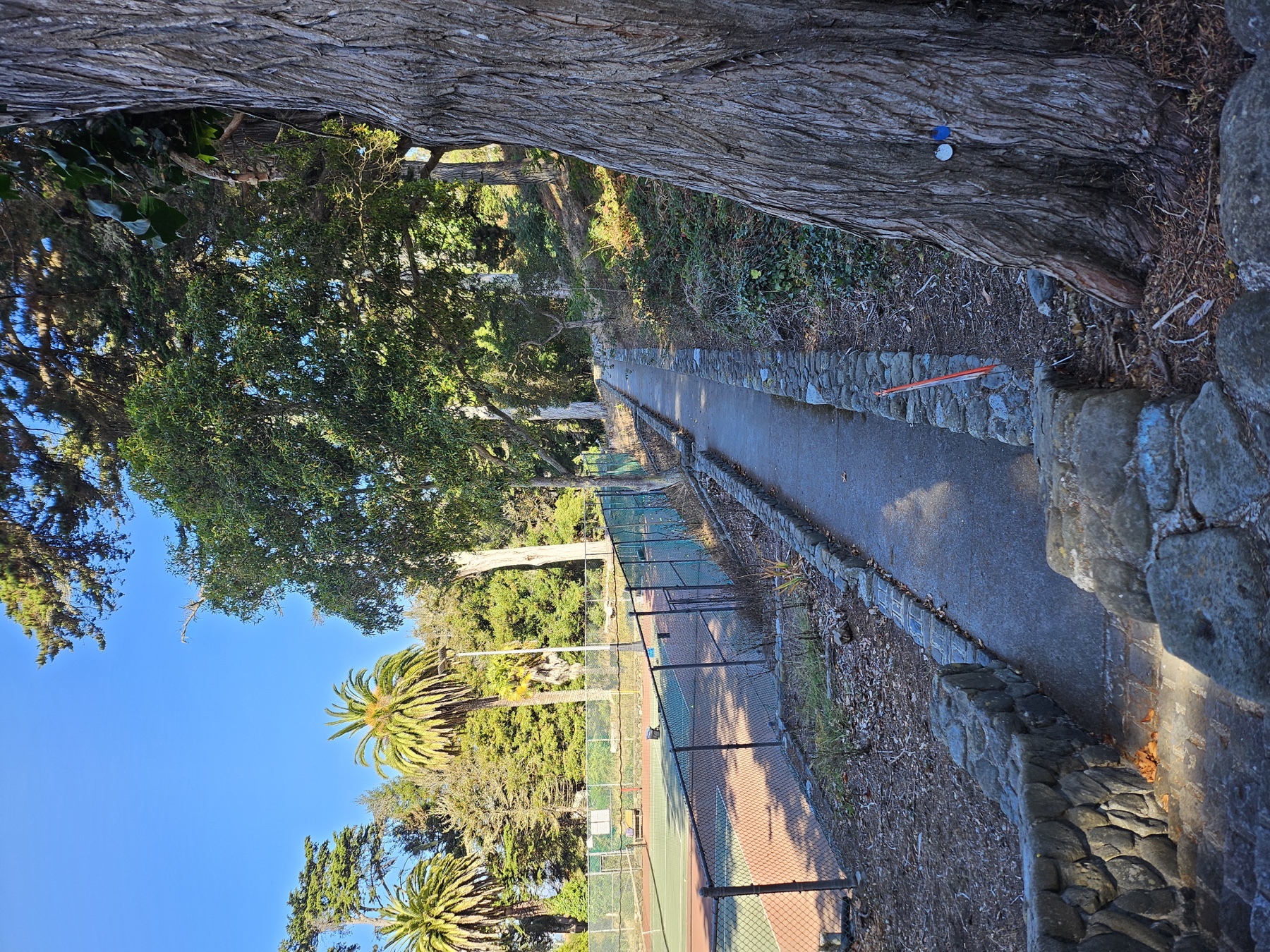 Path and tennis courts beside the posted herbicide treatment area at Infantry Terrace