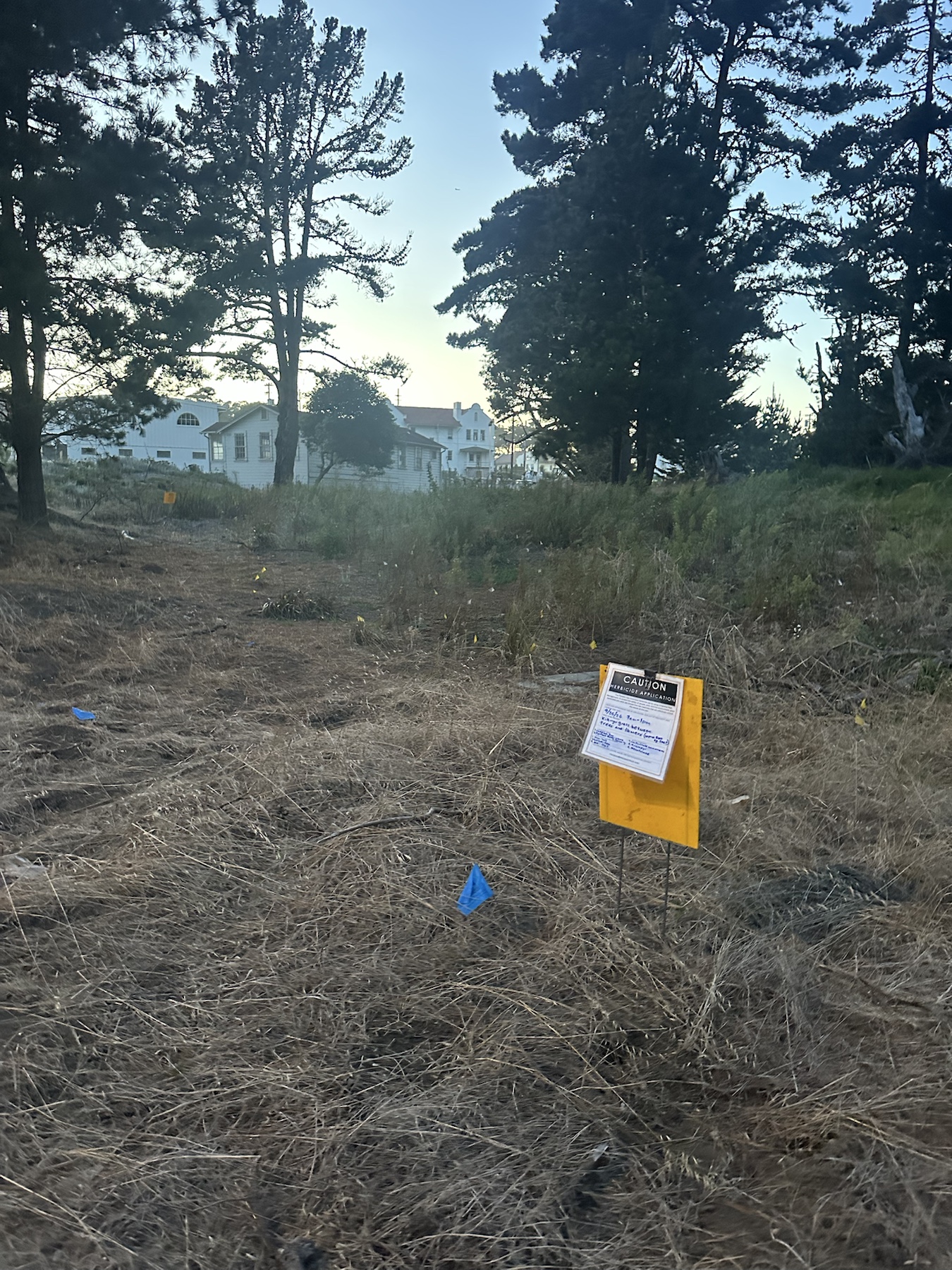 Herbicide application sign in a flagged grassy landscape area in the Presidio